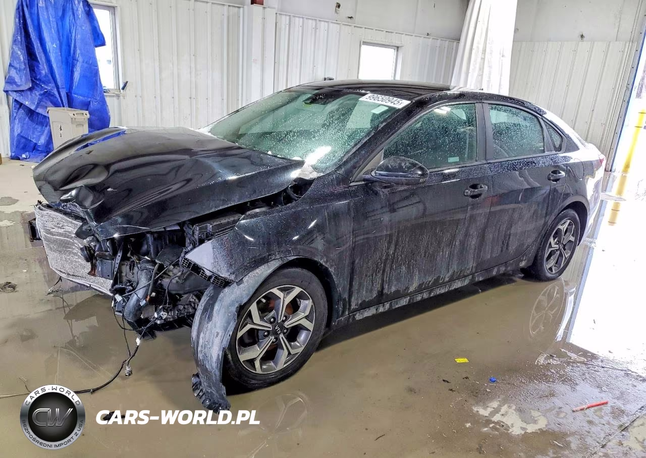 2019 Kia Forte Fe