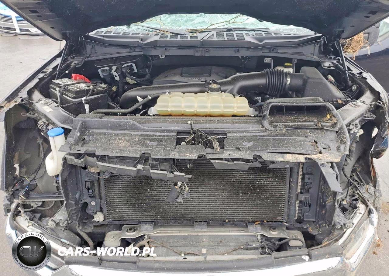 2021 Ford F150 Supercrew VIN:1FTFW1E88MFA04684 - 11