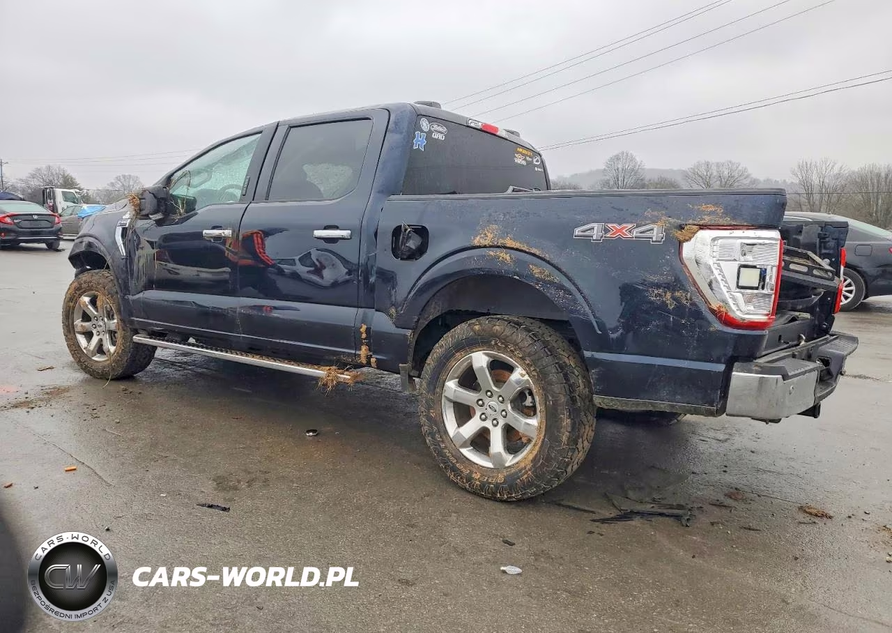 2021 Ford F150 Supercrew VIN:1FTFW1E88MFA04684 - 2
