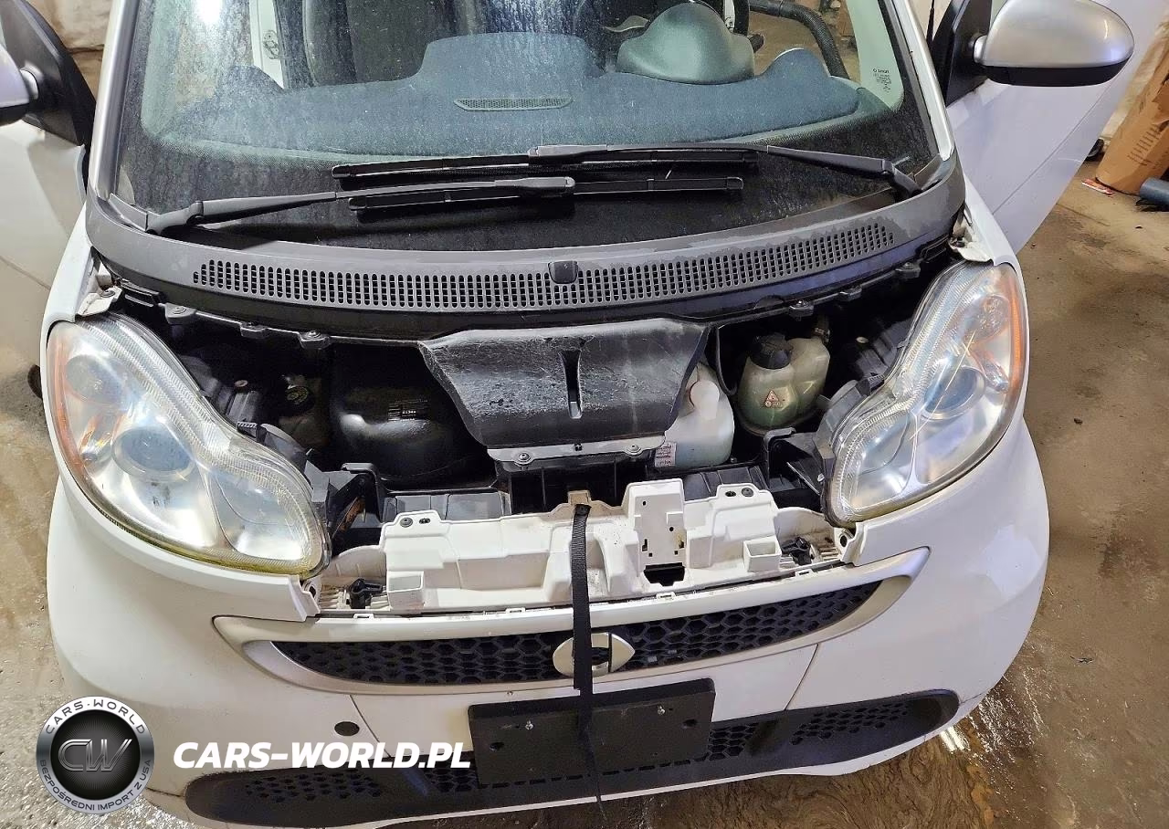 2015 Smart Fortwo VIN:WMEEJ3BA1FK807281 - 11
