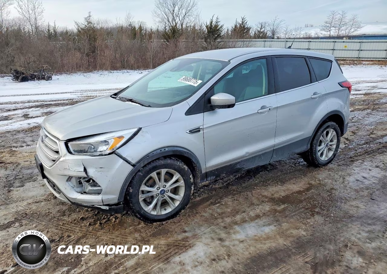 2019 Ford Escape Se