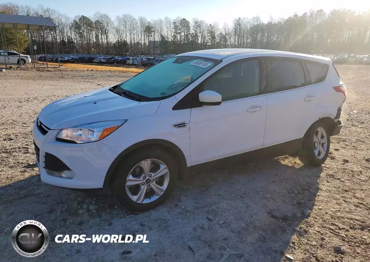 2014 Ford Escape Se