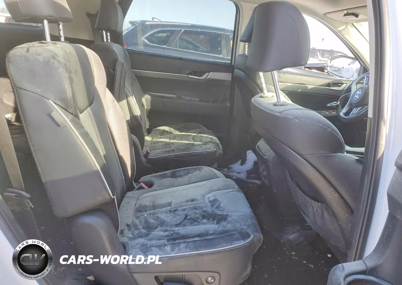 2025 Hyundai Palisade Xrt VIN:KM8R3DGE2SU927368 - 11