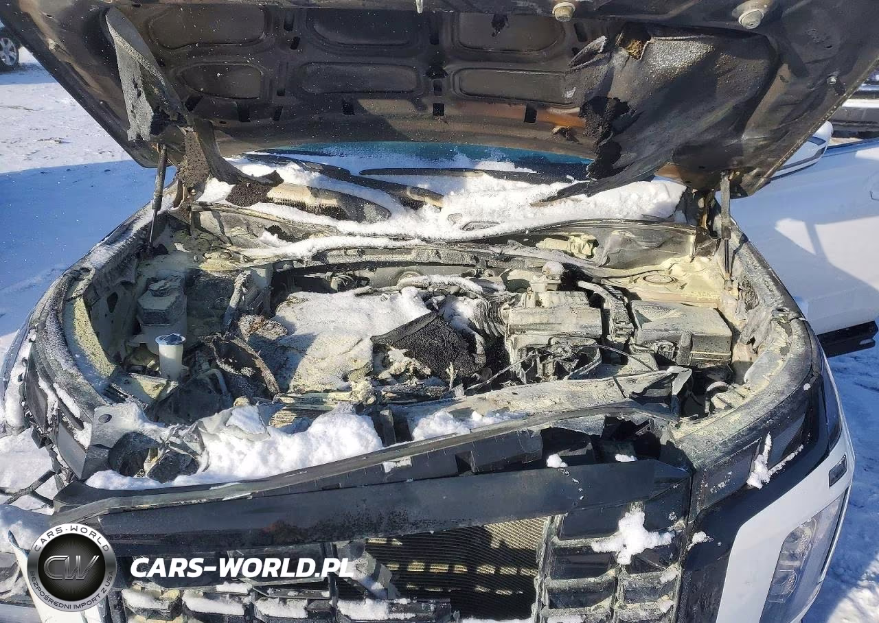 2025 Hyundai Palisade Xrt VIN:KM8R3DGE2SU927368 - 12