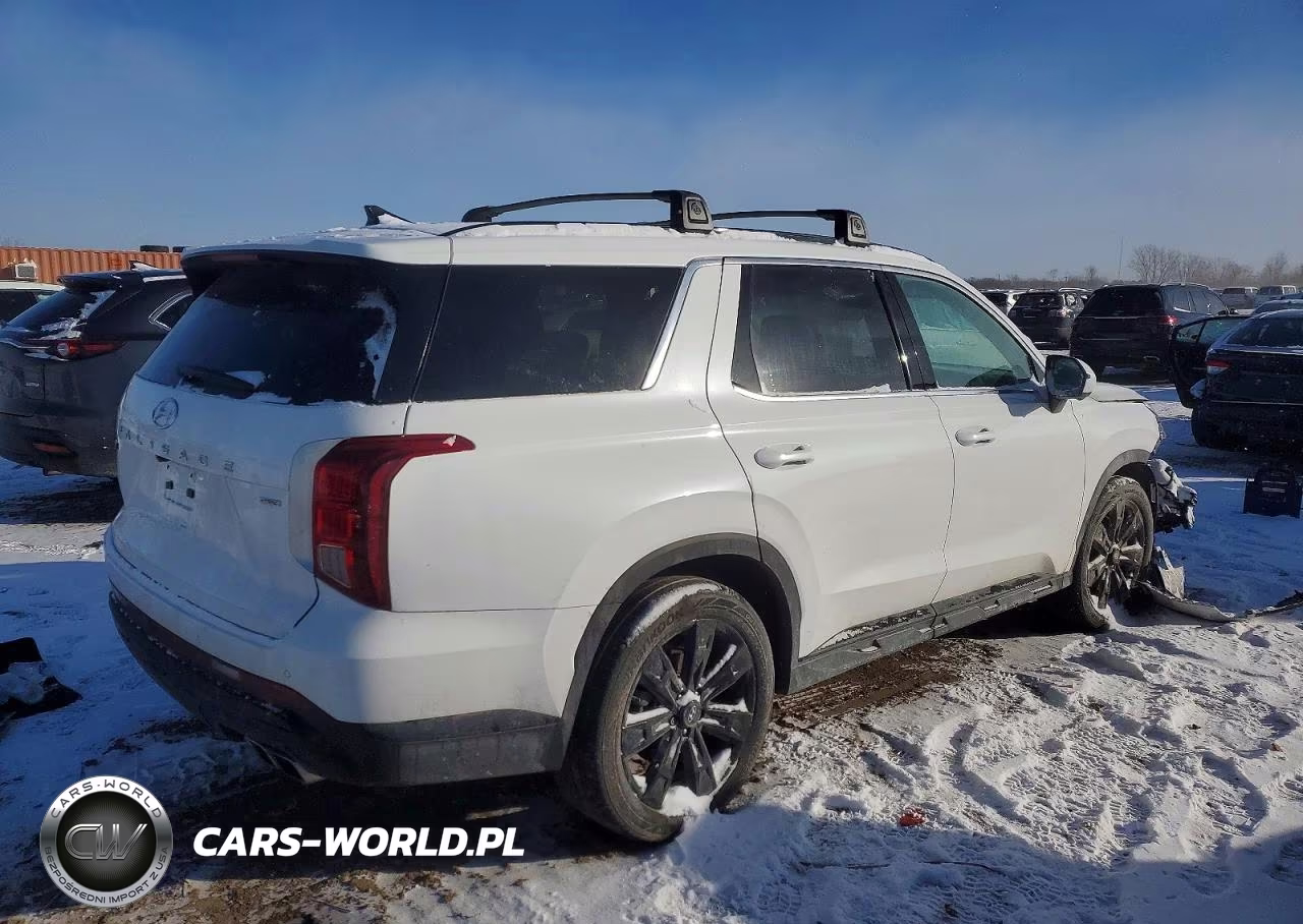 2025 Hyundai Palisade Xrt VIN:KM8R3DGE2SU927368 - 3