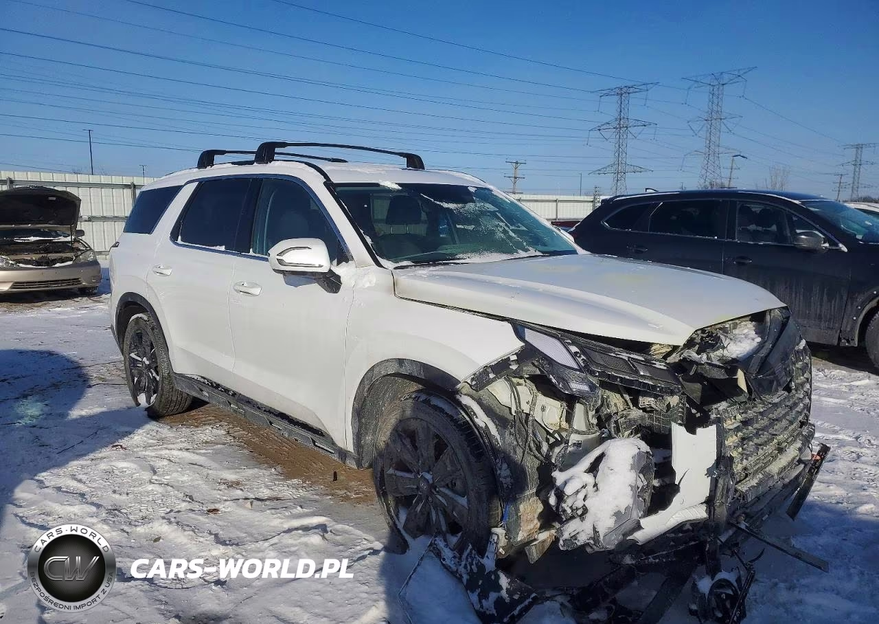 2025 Hyundai Palisade Xrt VIN:KM8R3DGE2SU927368 - 4