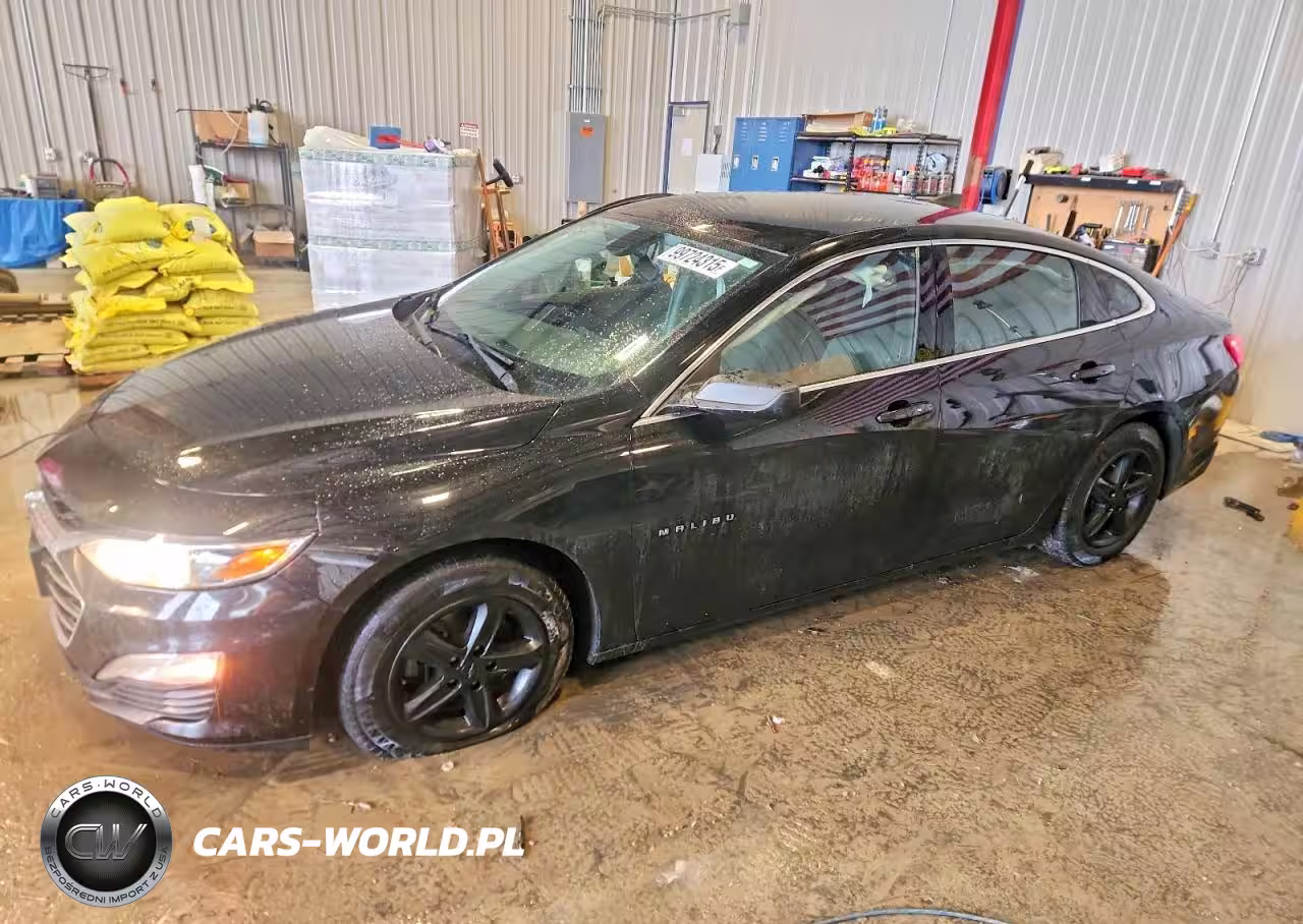 2019 Chevrolet Malibu Ls