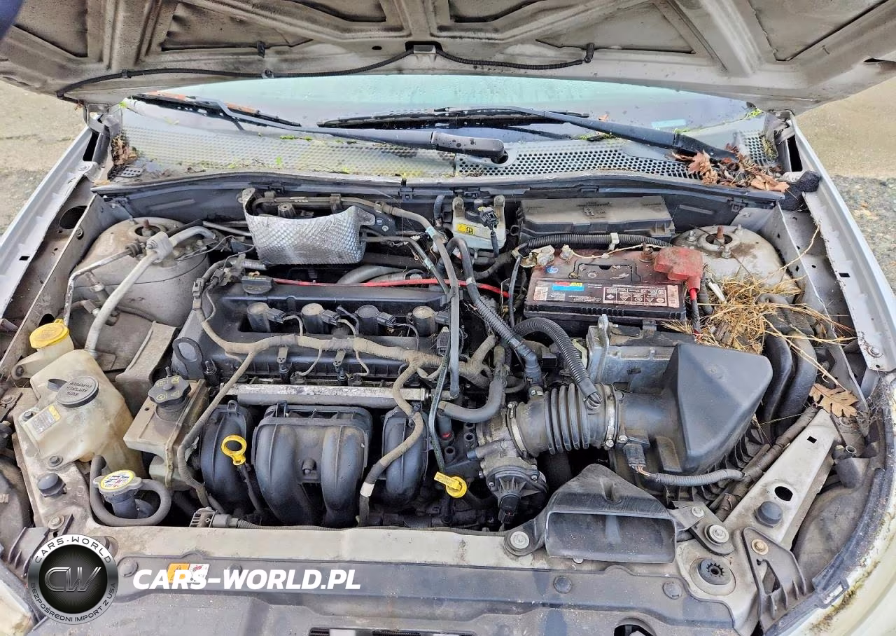 2008 Ford Focus Se VIN:1FAHP33N18W126745 - 11
