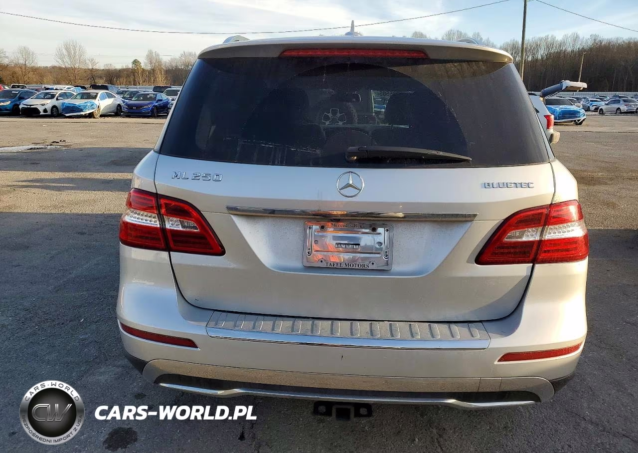 2015 Mercedes-Benz Ml 250 Bluetec VIN:4JGDA0EB1FA473462 - 6
