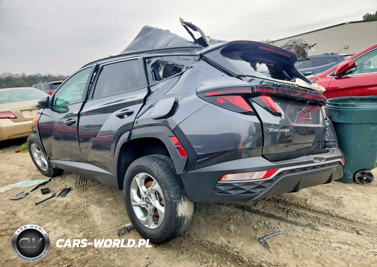 2024 Hyundai Tucson Sel VIN:5NMJBCDE5RH300930 - 2