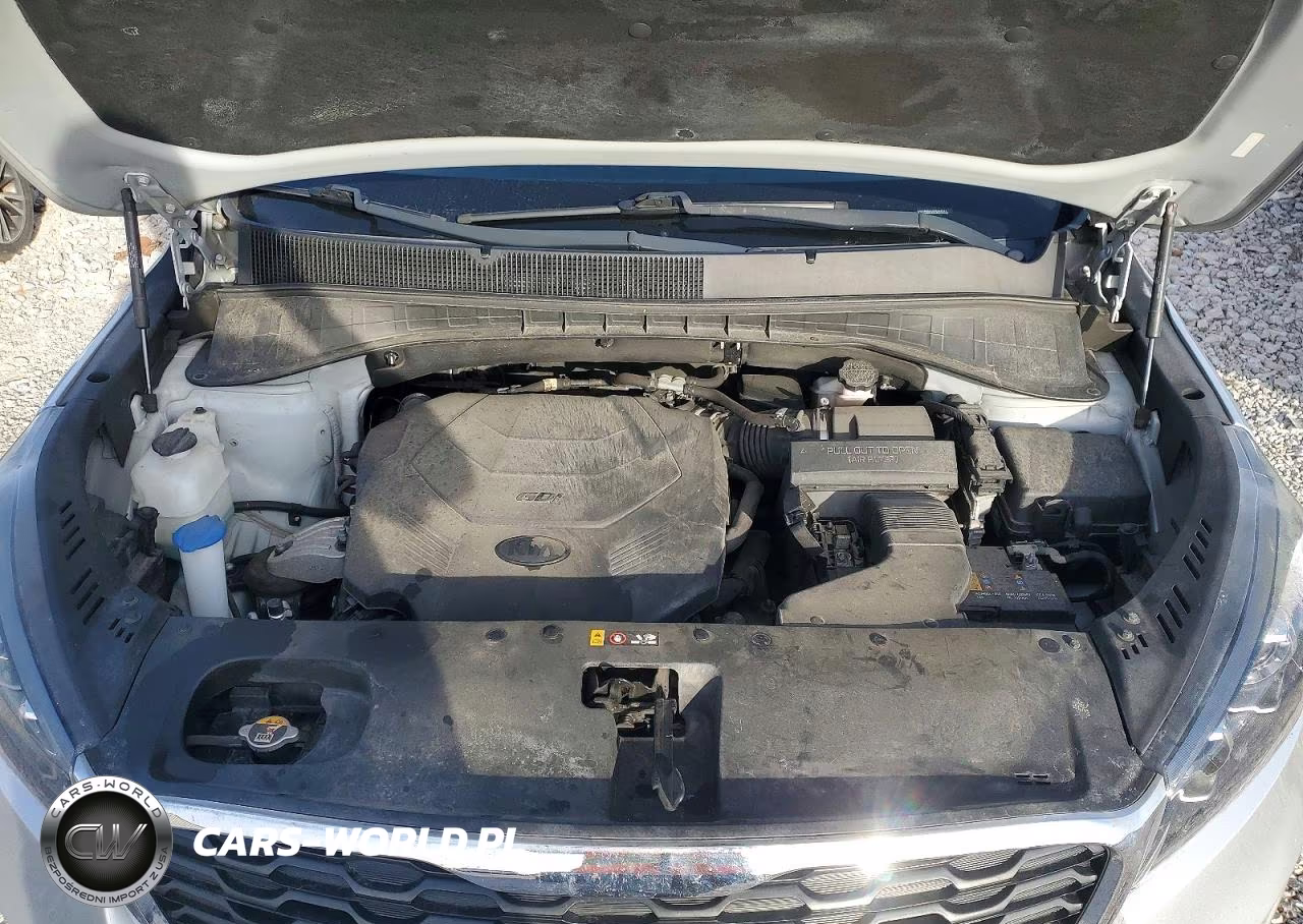 2019 Kia Sorento Lx VIN:5XYPGDA53KG560314 - 12