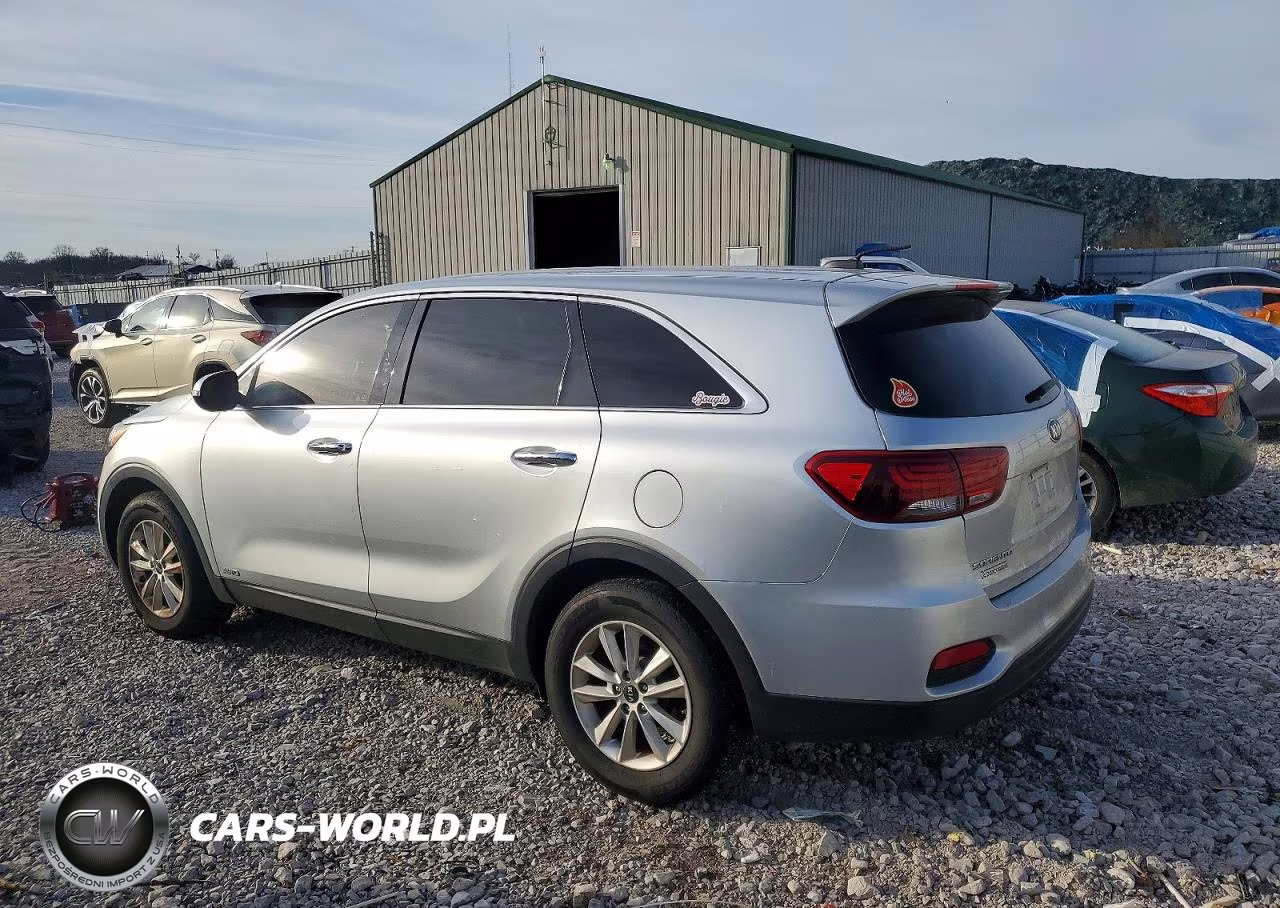 2019 Kia Sorento Lx VIN:5XYPGDA53KG560314 - 2