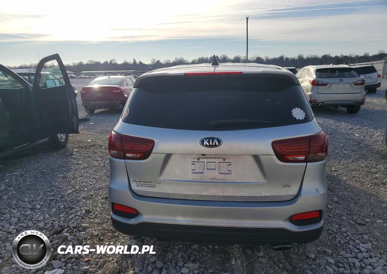 2019 Kia Sorento Lx VIN:5XYPGDA53KG560314 - 6