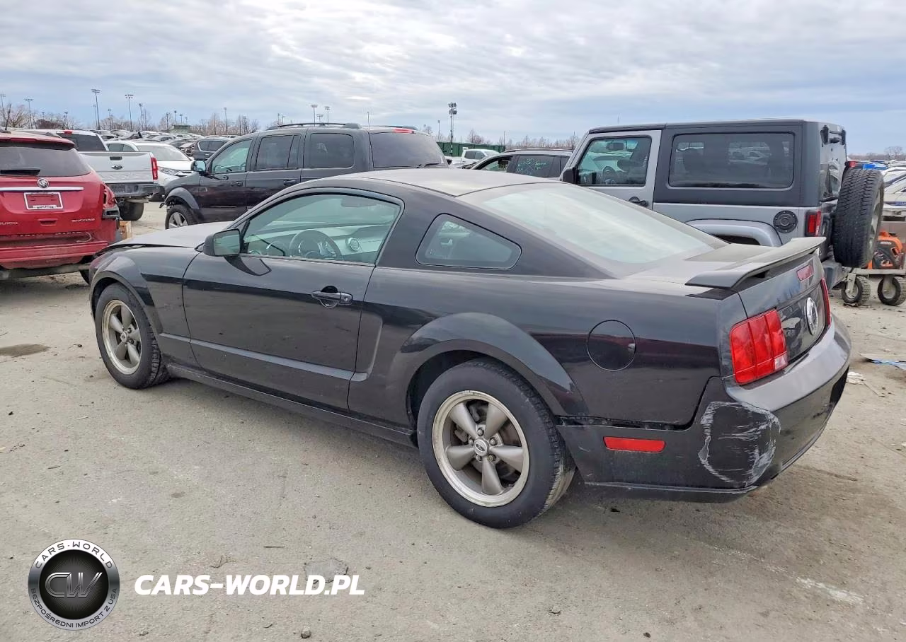 2006 Ford Mustang Gt VIN:1ZVFT82H265231560 - 2