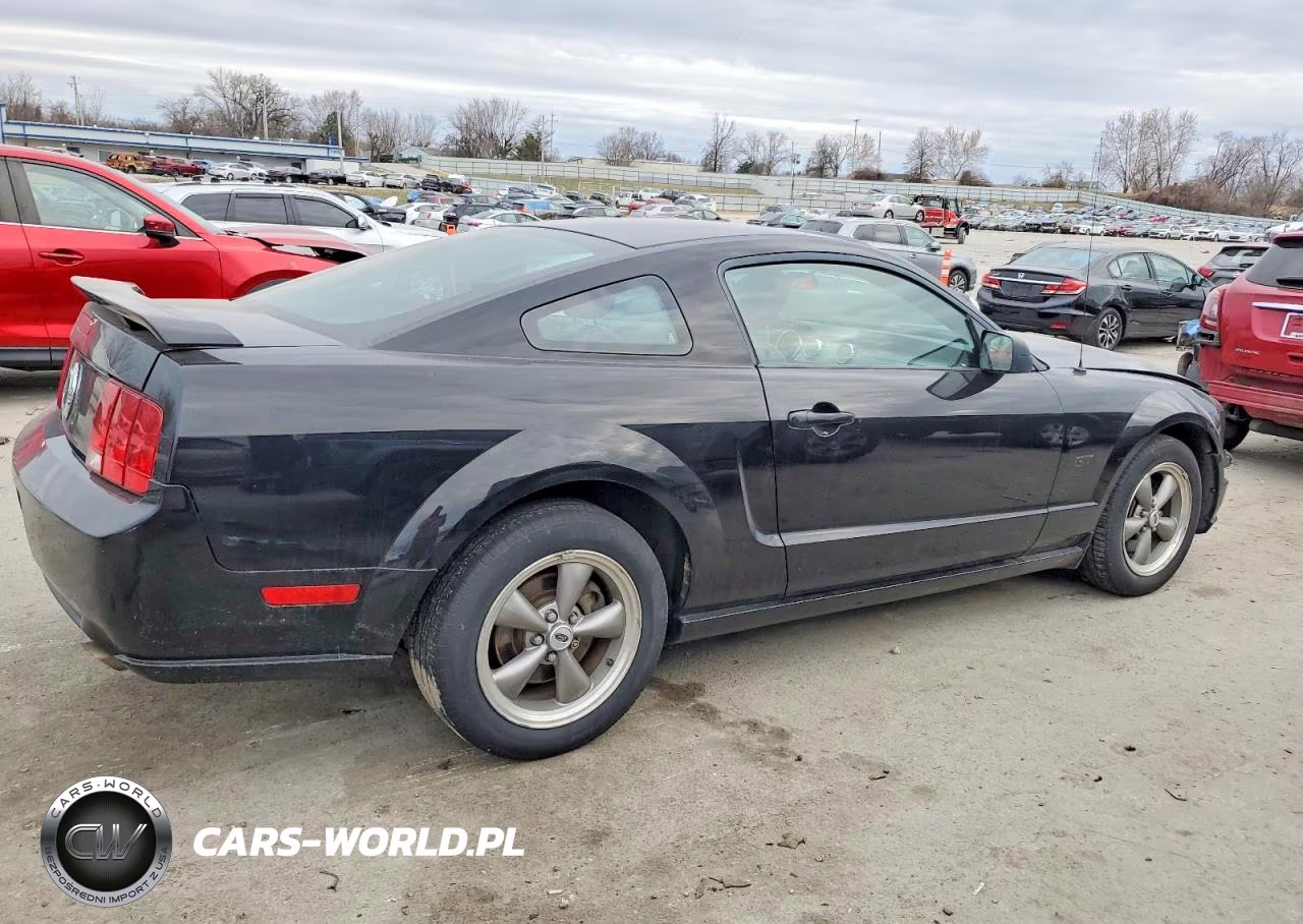 2006 Ford Mustang Gt VIN:1ZVFT82H265231560 - 3