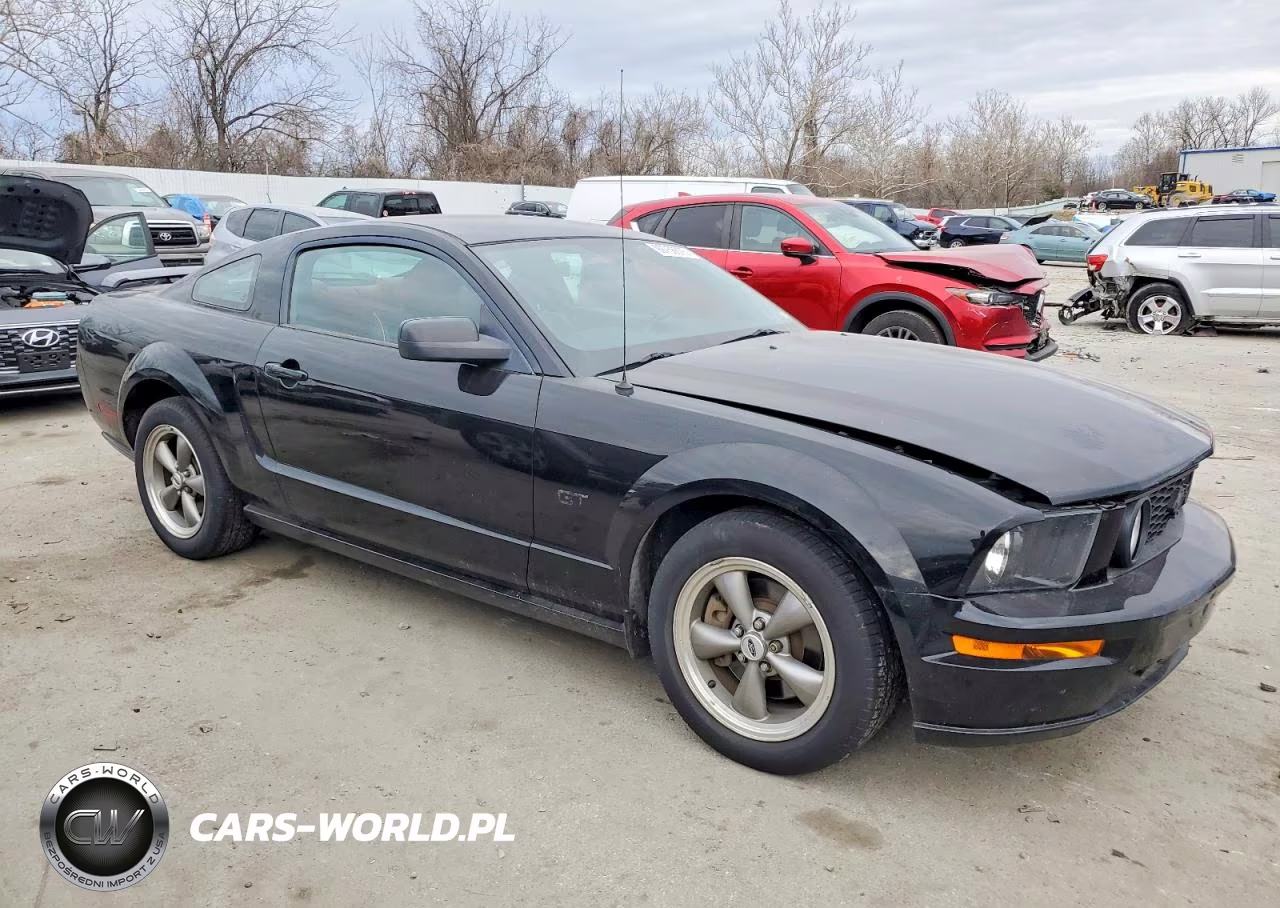 2006 Ford Mustang Gt VIN:1ZVFT82H265231560 - 4
