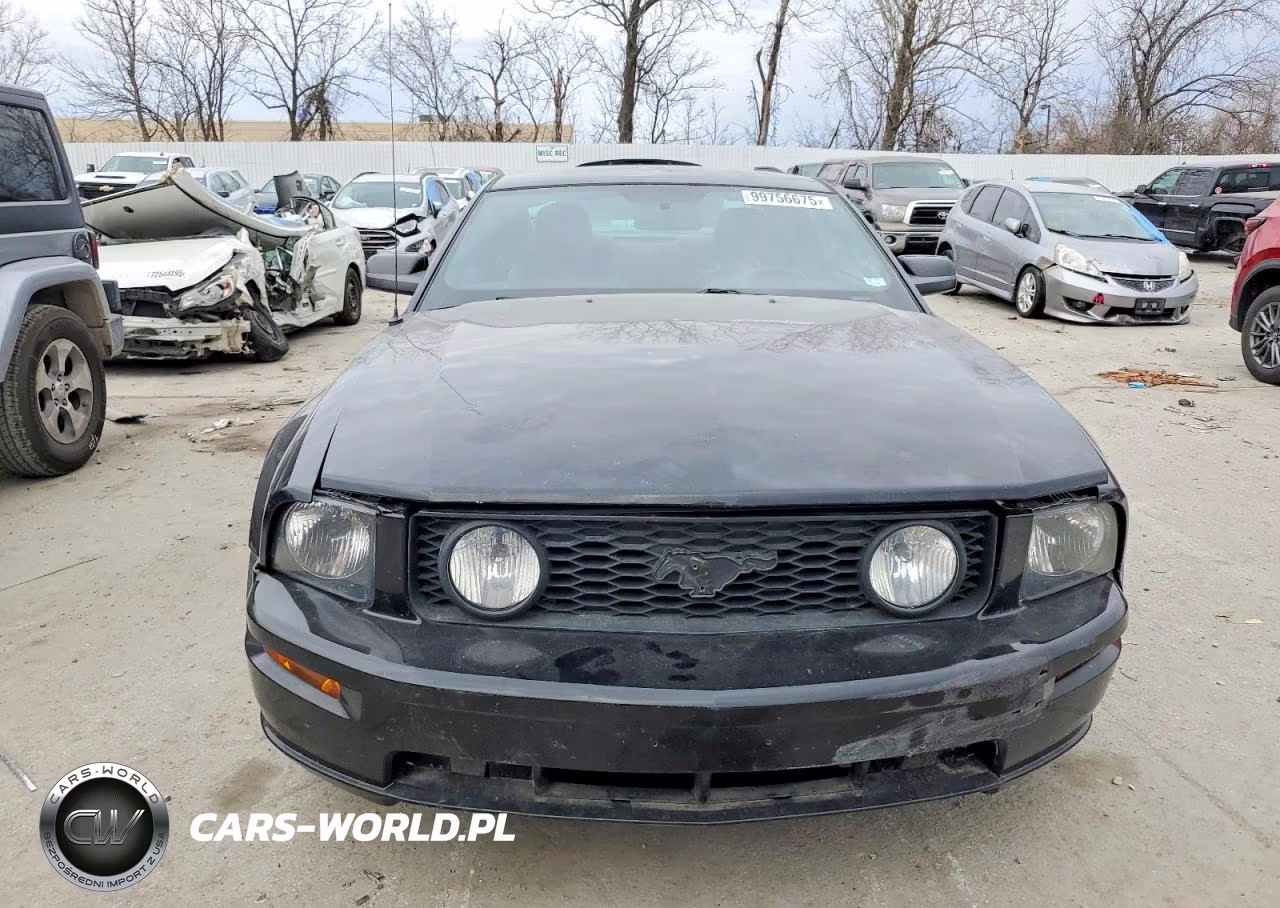 2006 Ford Mustang Gt VIN:1ZVFT82H265231560 - 5