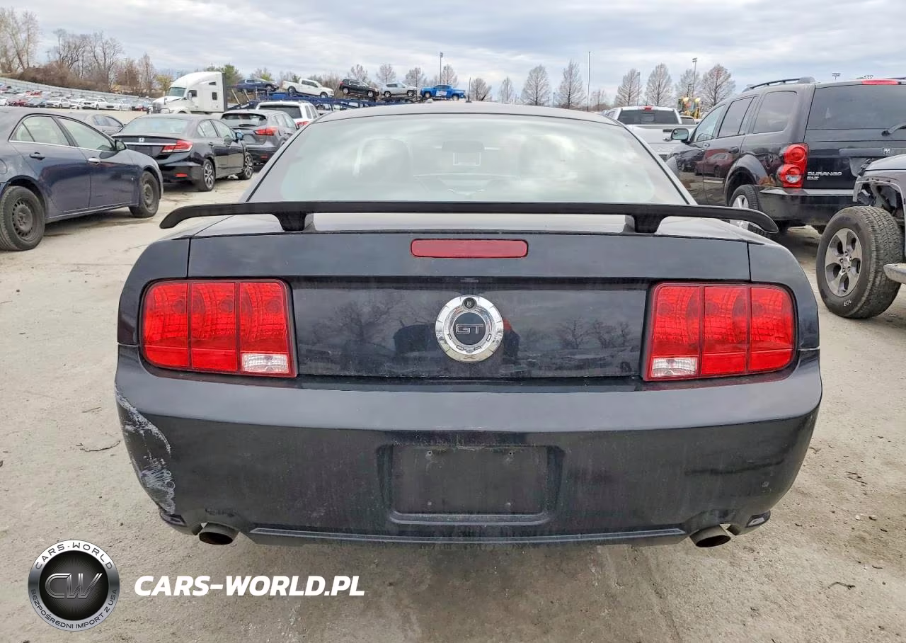 2006 Ford Mustang Gt VIN:1ZVFT82H265231560 - 6