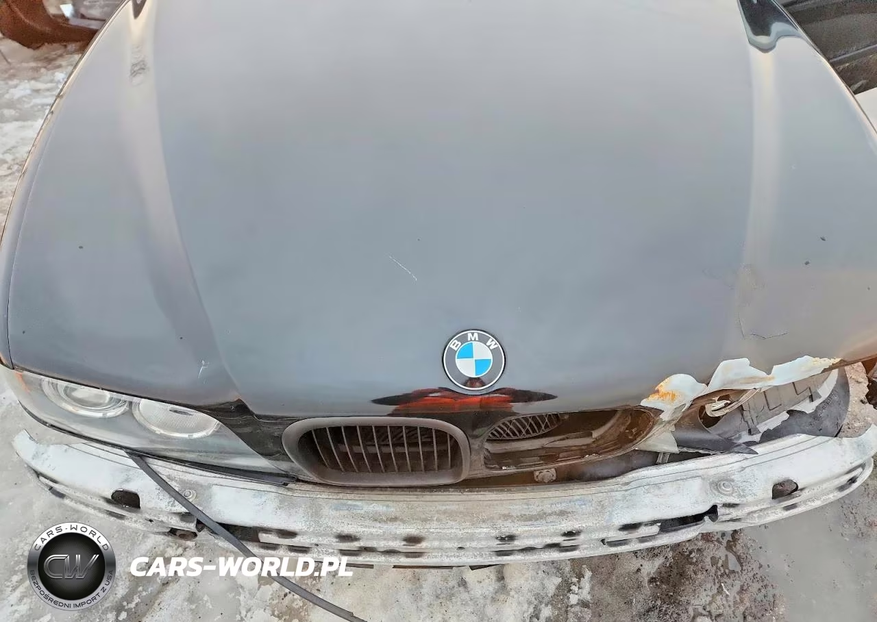 2001 BMW 525 I VIN:WBADT33431GF40539 - 11