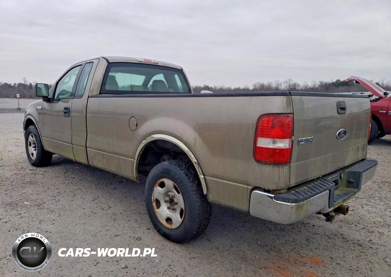 2005 Ford F-150 VIN:1FTRF12265NB70903 - 2