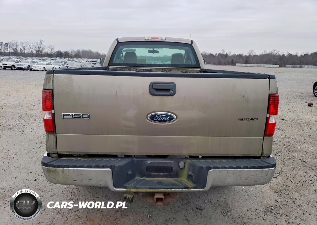 2005 Ford F-150 VIN:1FTRF12265NB70903 - 6