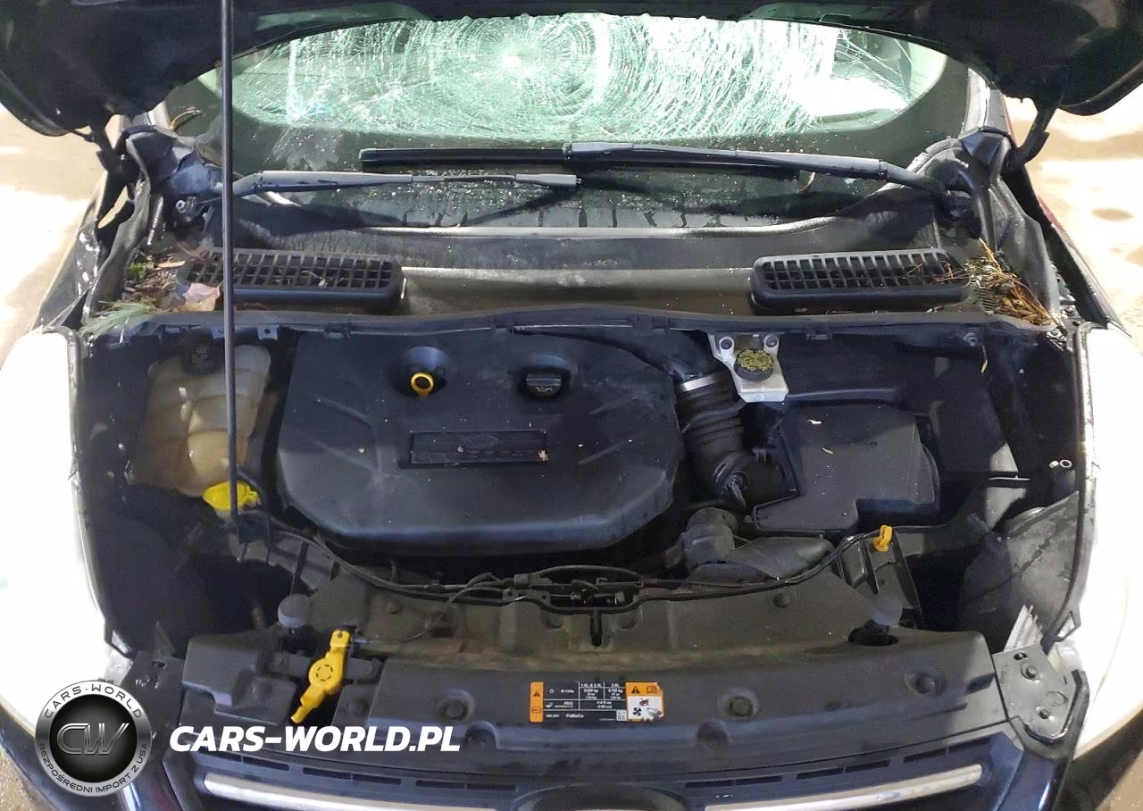 2014 Ford Escape Se VIN:1FMCU9G90EUA96606 - 12