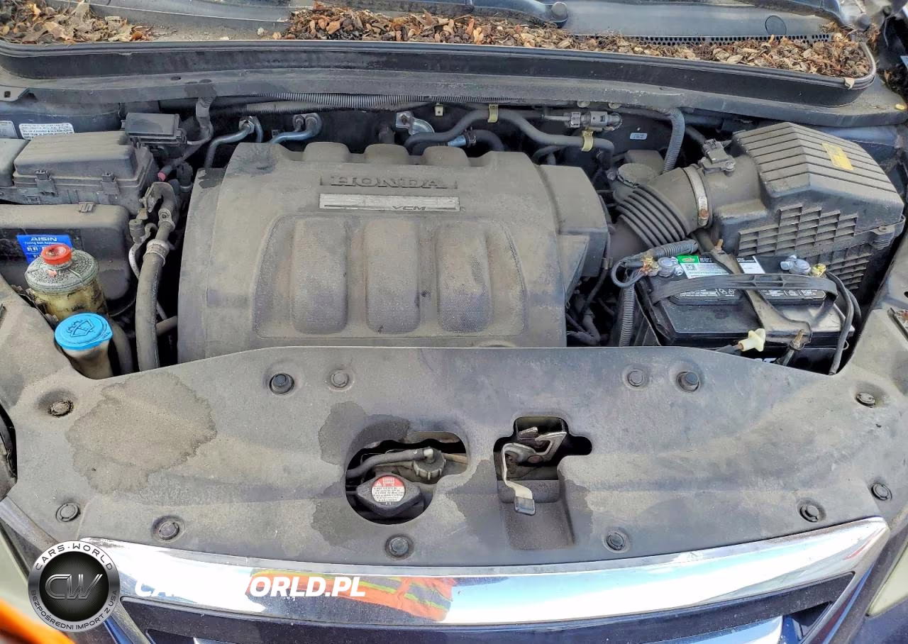 2007 Honda Odyssey VIN:5FNRL386X7B010233 - 12