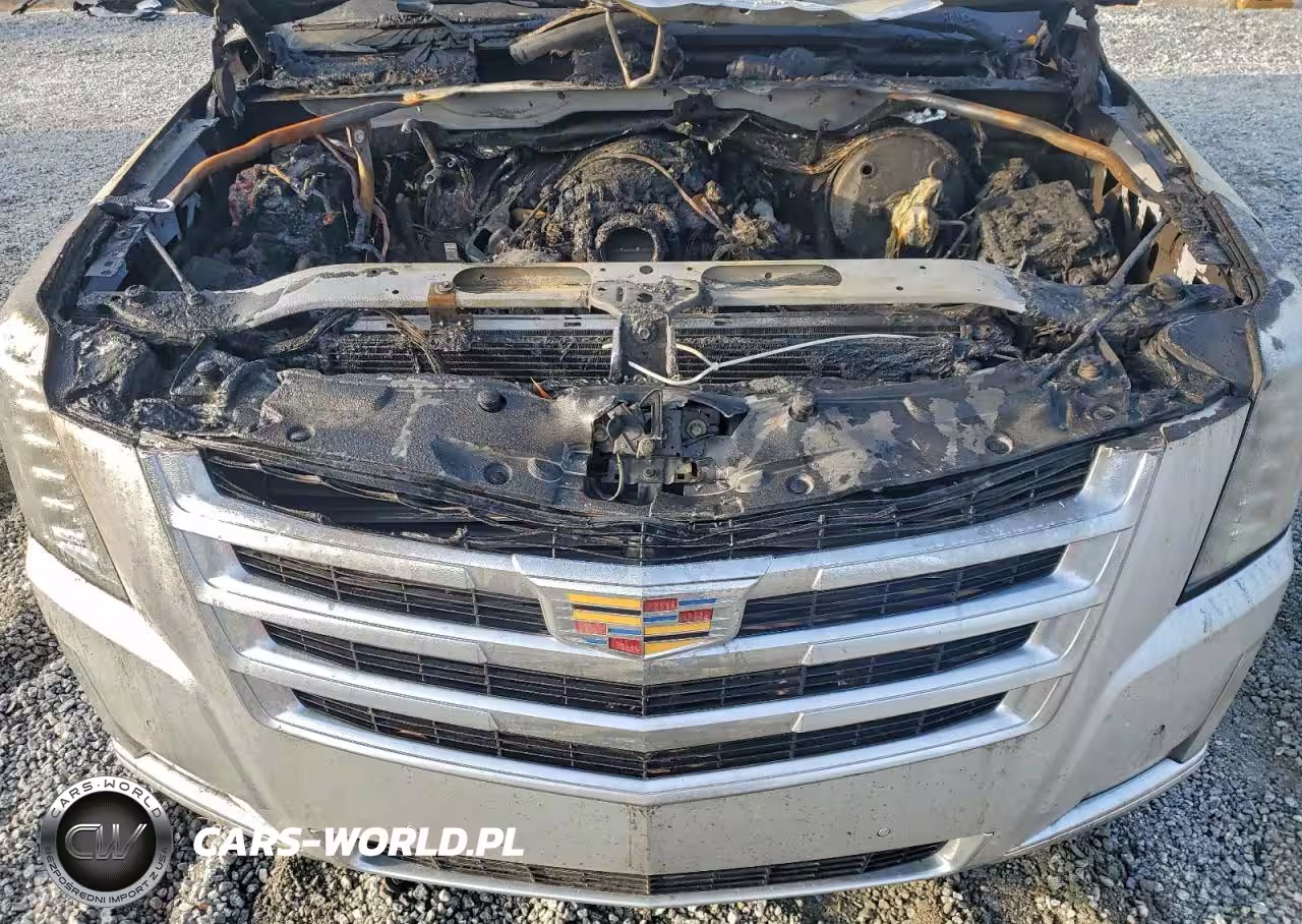 2017 Cadillac Escalade Esv Luxury VIN:1GYS4HKJ5HR364160 - 12