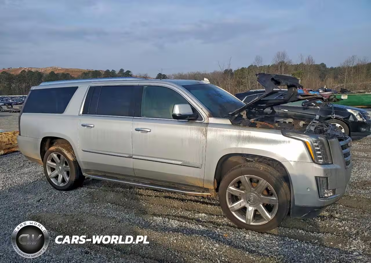 2017 Cadillac Escalade Esv Luxury VIN:1GYS4HKJ5HR364160 - 4