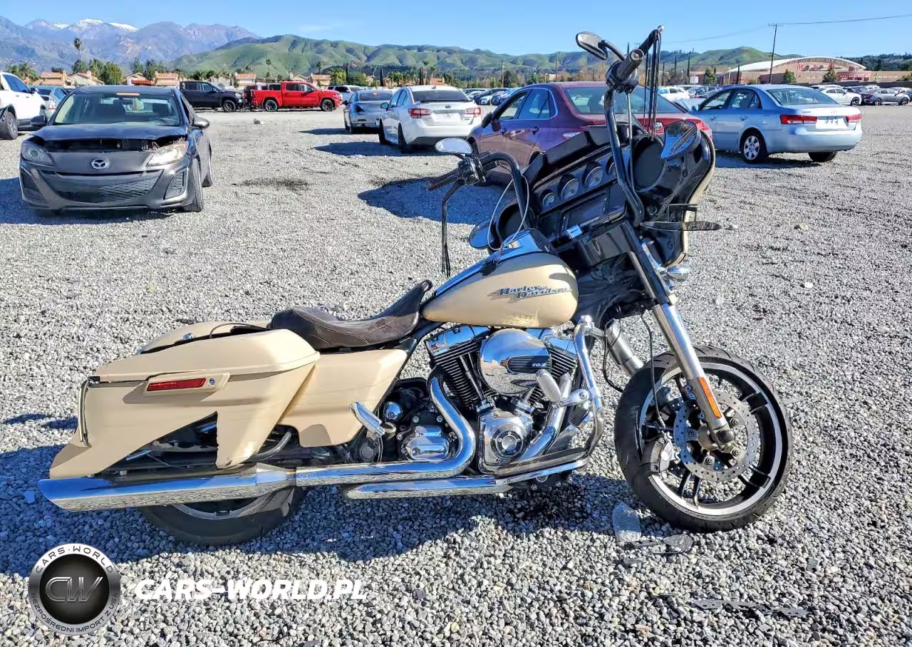 2014 Harley-Davidson Flhxs Street Glide Special