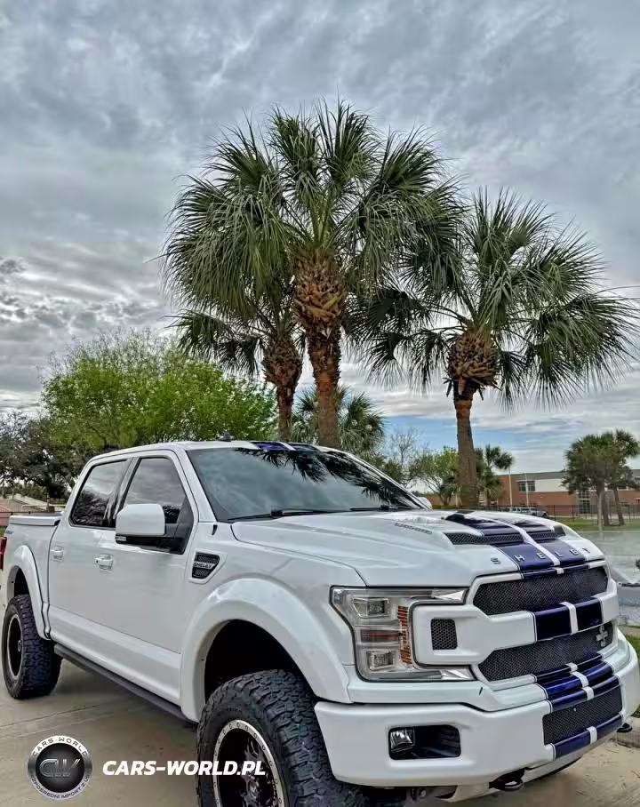 FORD F150 SUPER