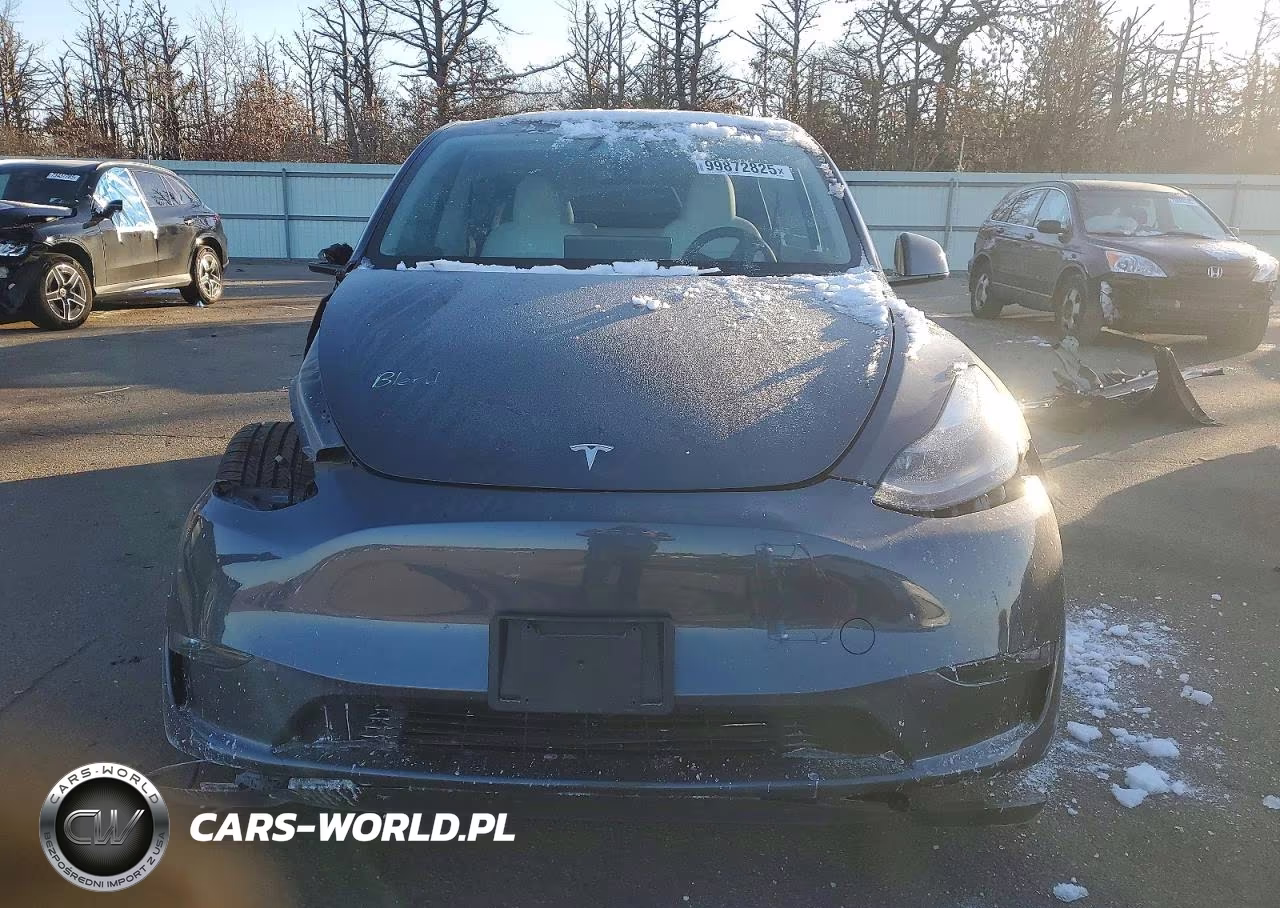 2023 Tesla Model Y VIN:7SAYGDEF9PF860268 - 5