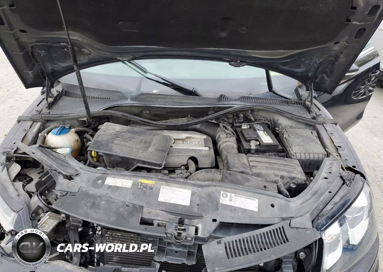 2014 Volkswagen Eos Komfort VIN:WVWBW8AH4EV005691 - 11