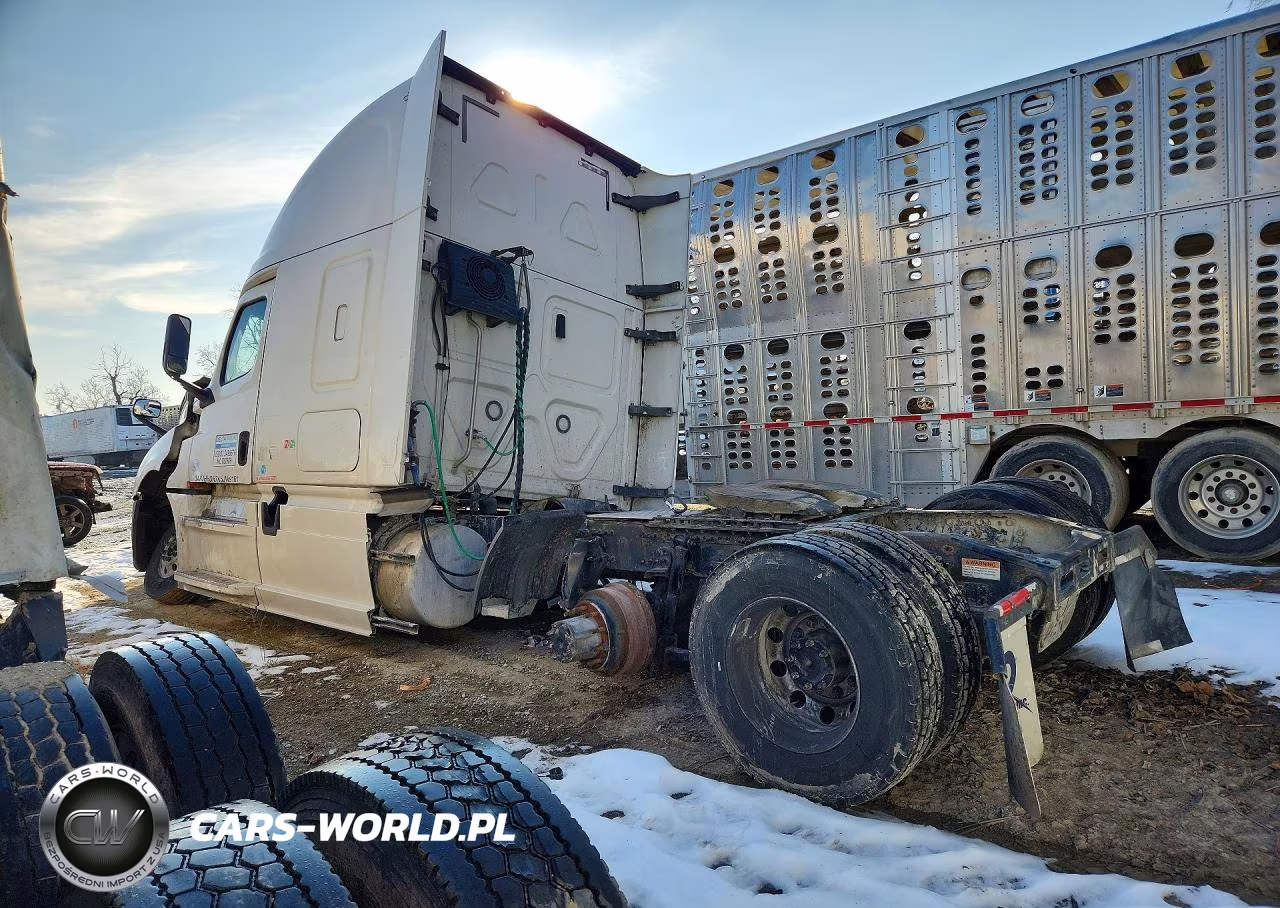 2019 Freightliner Cascadia 126" Sleeper Cab Semi Truck VIN:3AKJHHDR7KSJW9161 - 2