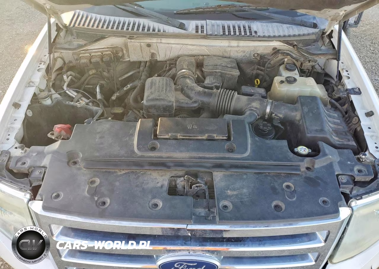 2010 Ford Expedition Eddie Bauer VIN:1FMJU1J5XAEB73078 - 12