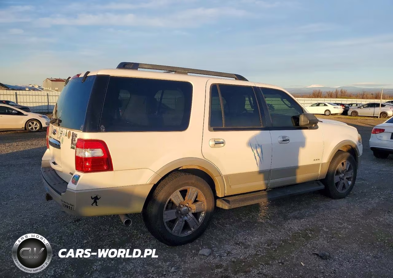 2010 Ford Expedition Eddie Bauer VIN:1FMJU1J5XAEB73078 - 3
