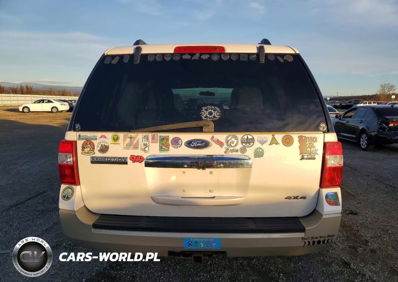 2010 Ford Expedition Eddie Bauer VIN:1FMJU1J5XAEB73078 - 6