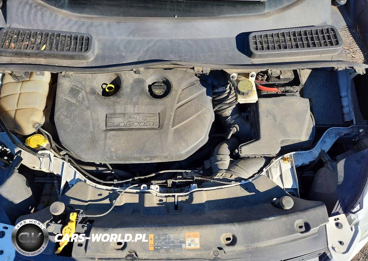 2014 Ford Escape VIN:1FMCU0G93EUB56177 - 12