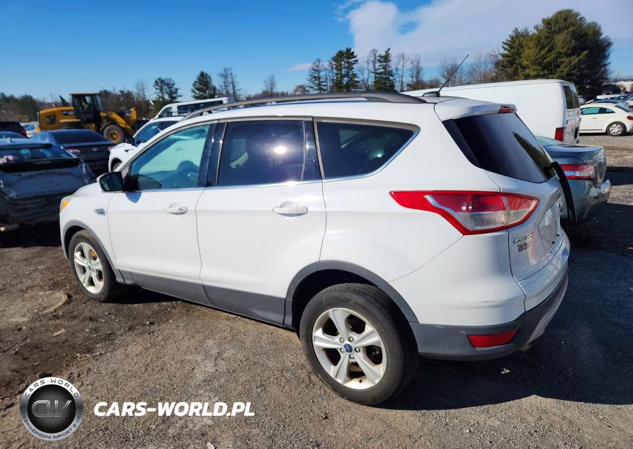 2014 Ford Escape VIN:1FMCU0G93EUB56177 - 2