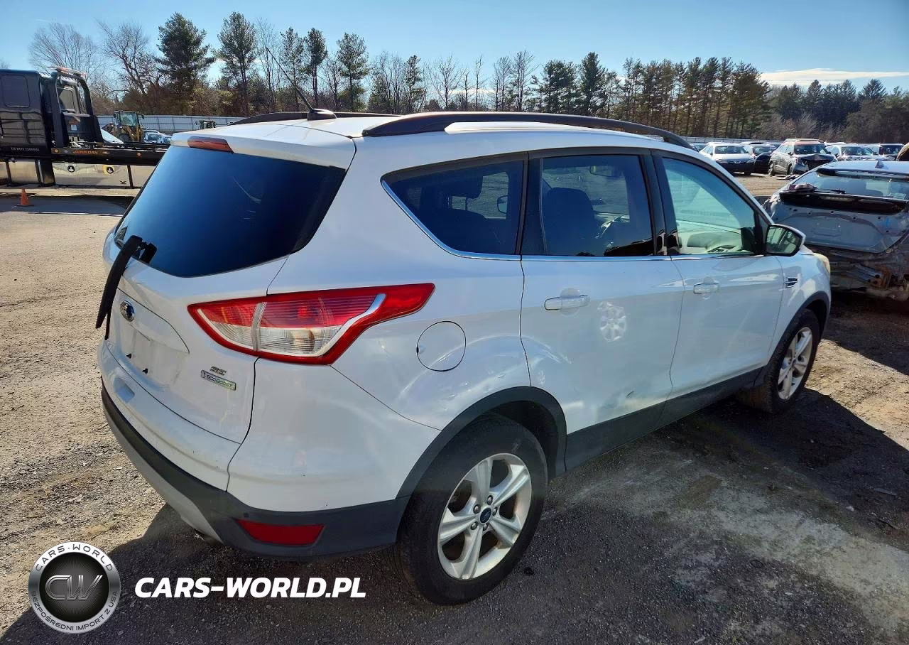 2014 Ford Escape VIN:1FMCU0G93EUB56177 - 3