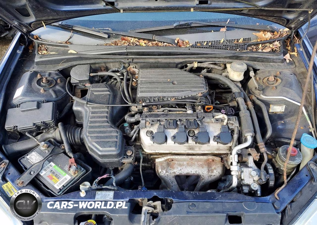 2004 Honda Civic Lx VIN:2HGES16604H530439 - 11