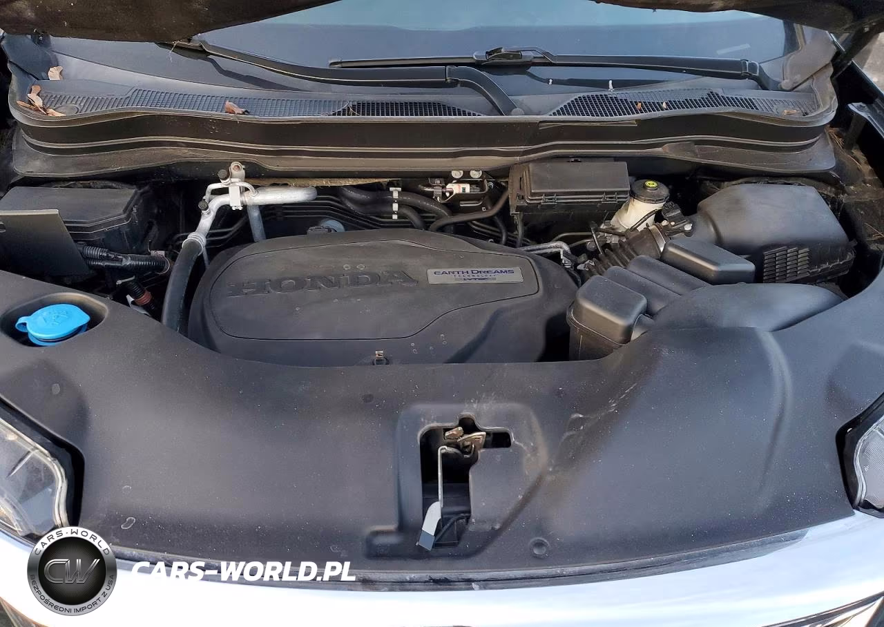 2019 Honda Pilot Exl VIN:5FNYF6H54KB087751 - 12