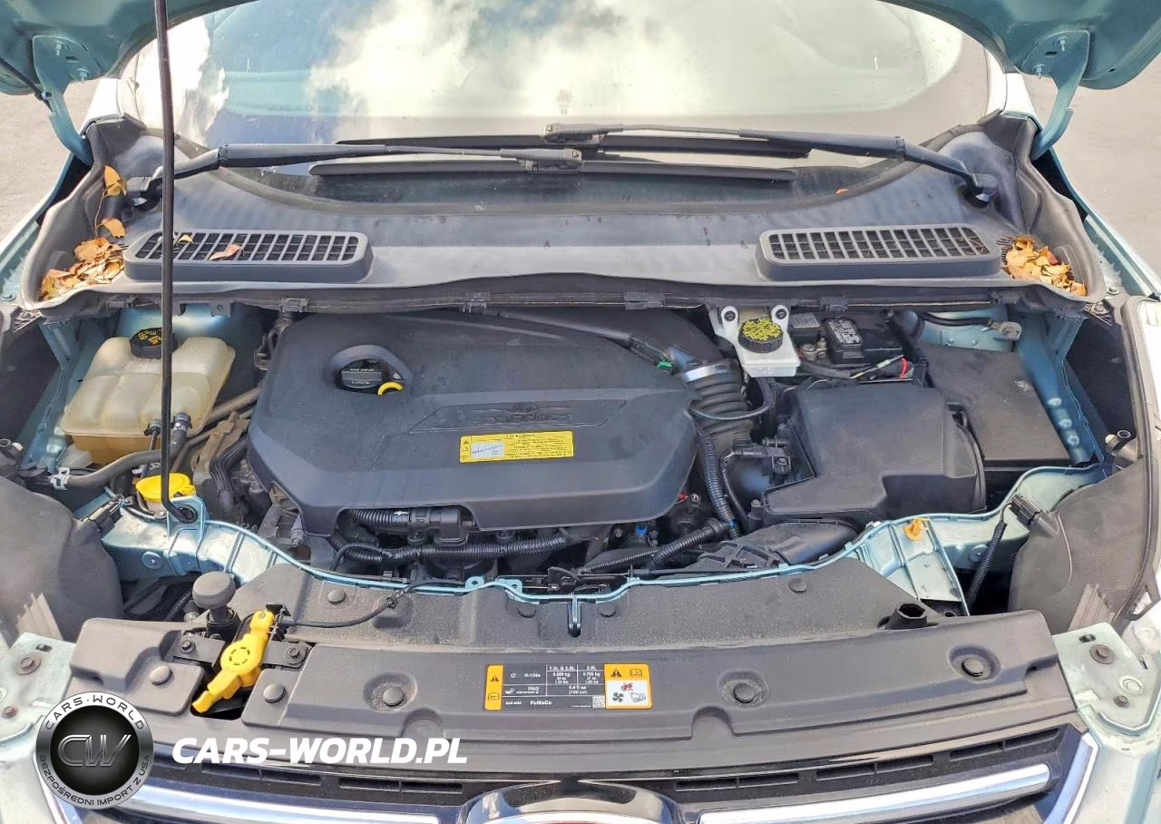 2013 Ford Escape Sel VIN:1FMCU0HXXDUD37837 - 12