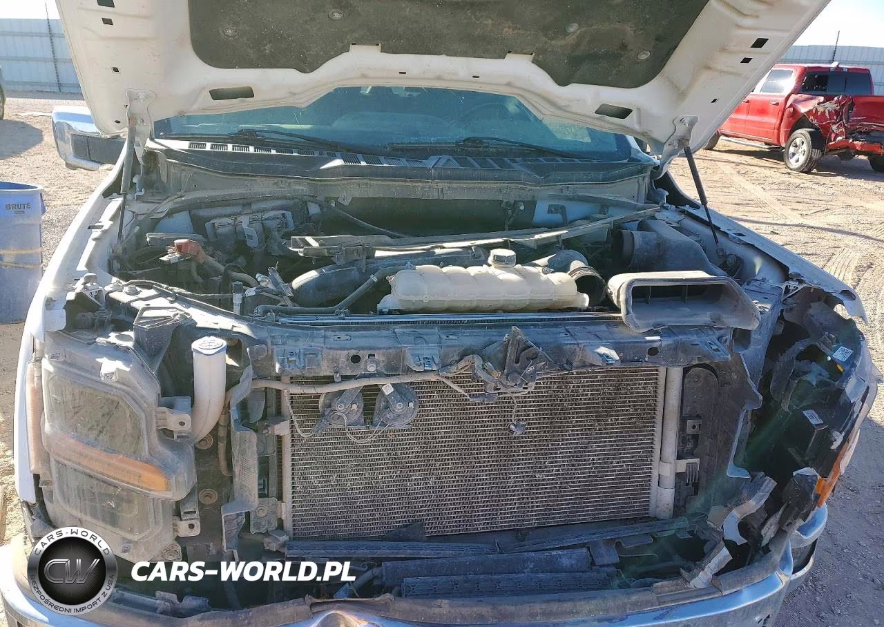 2024 Ford F150 Xlt VIN:1FTFW3L86RKD71175 - 11