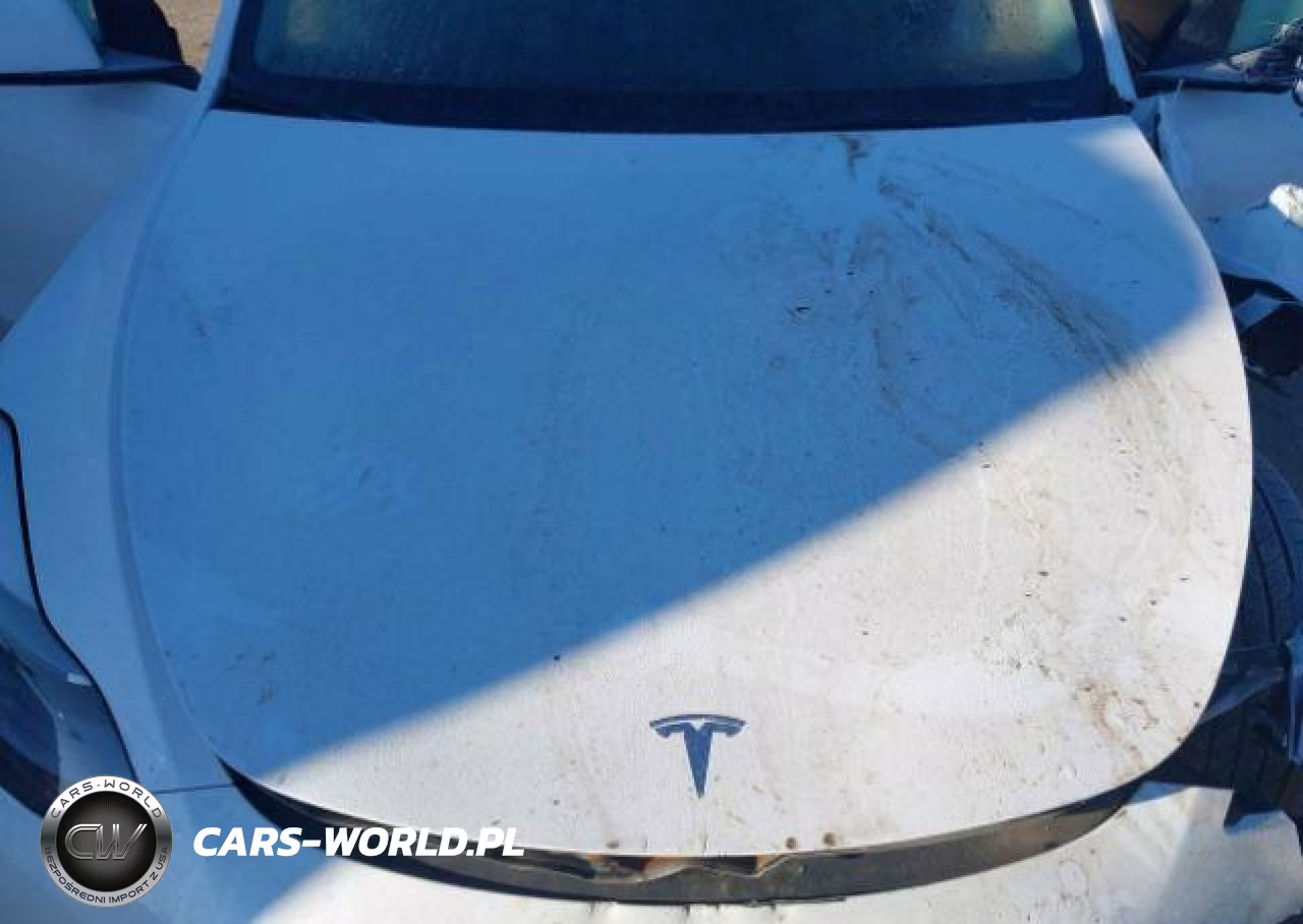 2022 Tesla Model Y VIN:7SAYGDEE1NF544478 - 11