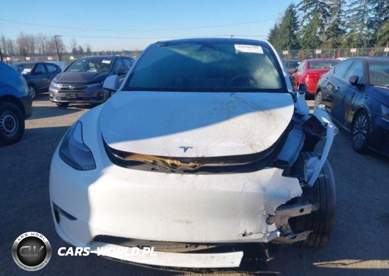 2022 Tesla Model Y VIN:7SAYGDEE1NF544478 - 12