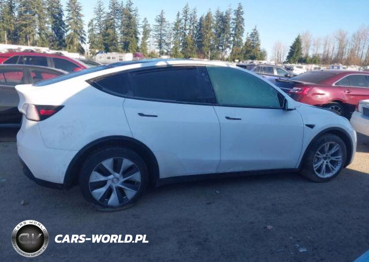 2022 Tesla Model Y VIN:7SAYGDEE1NF544478 - 13