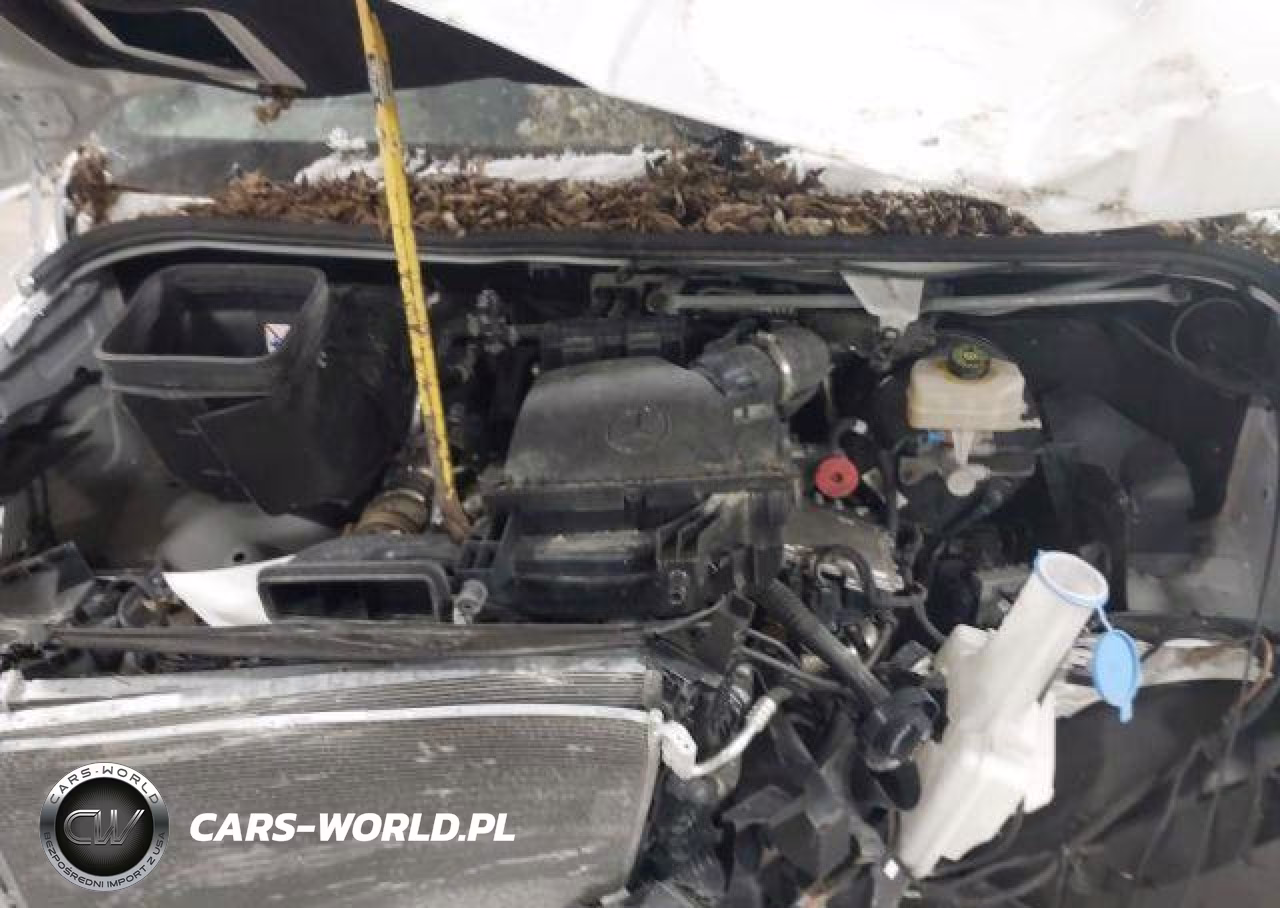 2024 Mercedes-Benz Sprinter 2500 VIN:W1Y4KCHY6RP645520 - 11