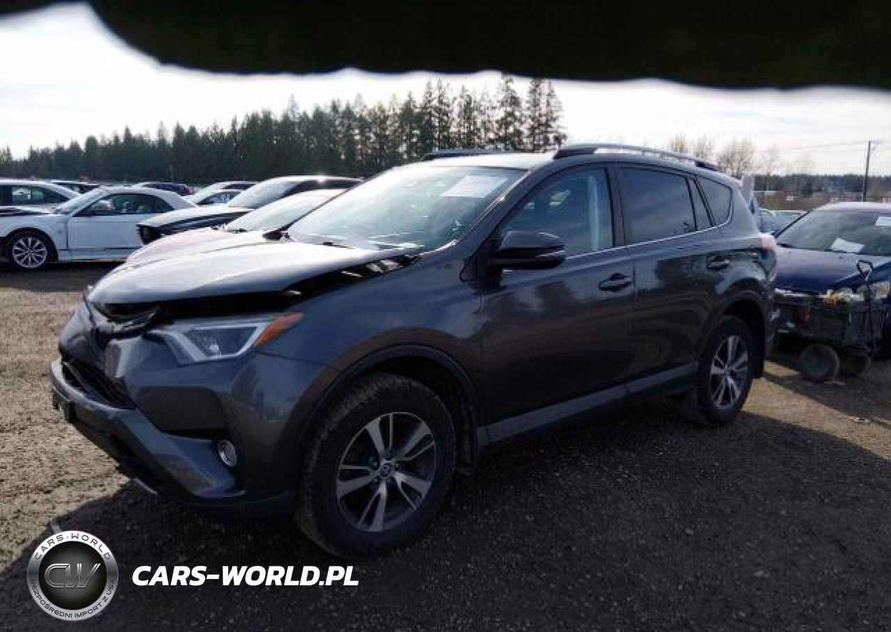 2017 Toyota Rav4 Xle VIN:2T3RFREV8HW639975 - 3