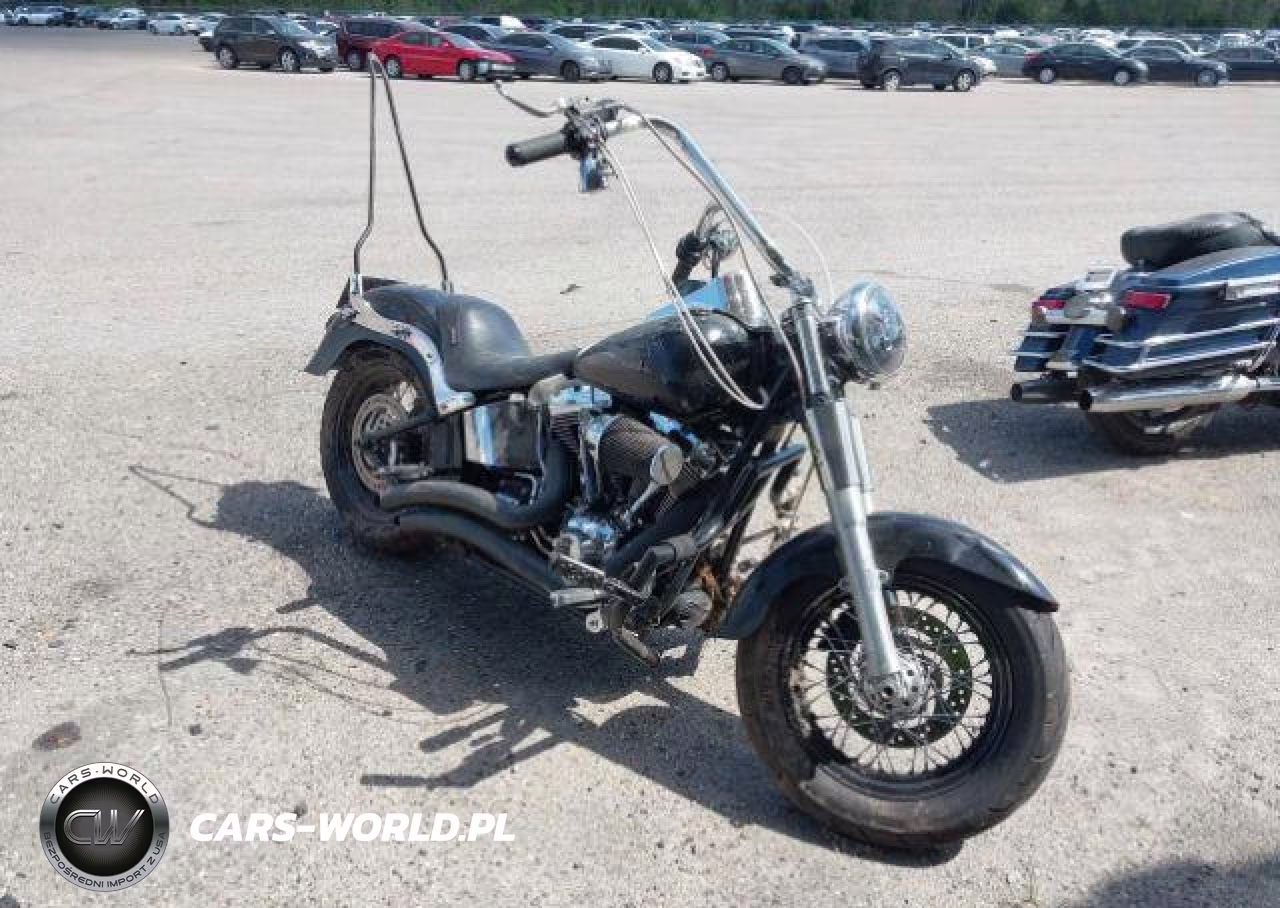 2008 Harley-Davidson Flstf